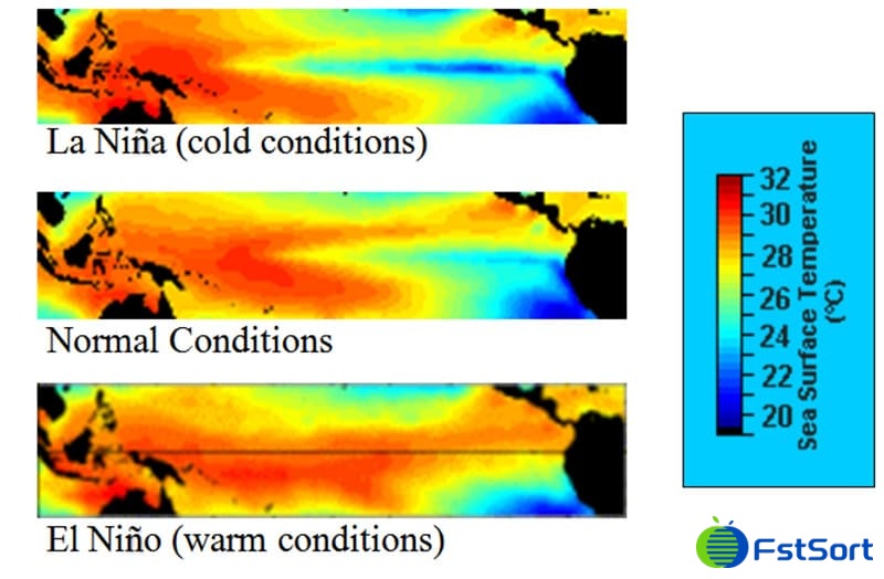 images/1697010933890Aguacates peruanos, arándanos y anomalías climáticas de El Niño afectan importación y exportación de frutas3.jpg